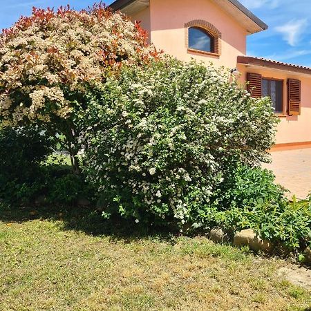Montepulciano - La Casetta Del Pian Delle Noci Acquaviva Kültér fotó