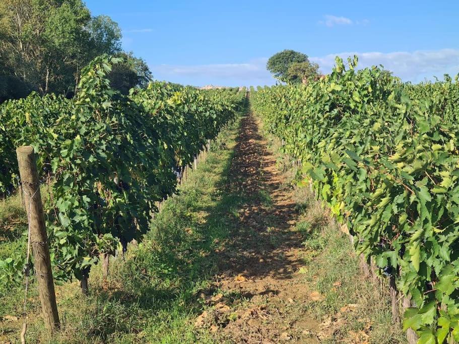 Montepulciano - La Casetta Del Pian Delle Noci Acquaviva Kültér fotó