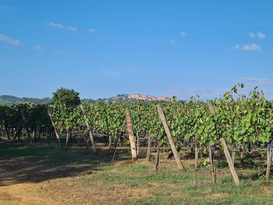 Montepulciano - La Casetta Del Pian Delle Noci Acquaviva Kültér fotó