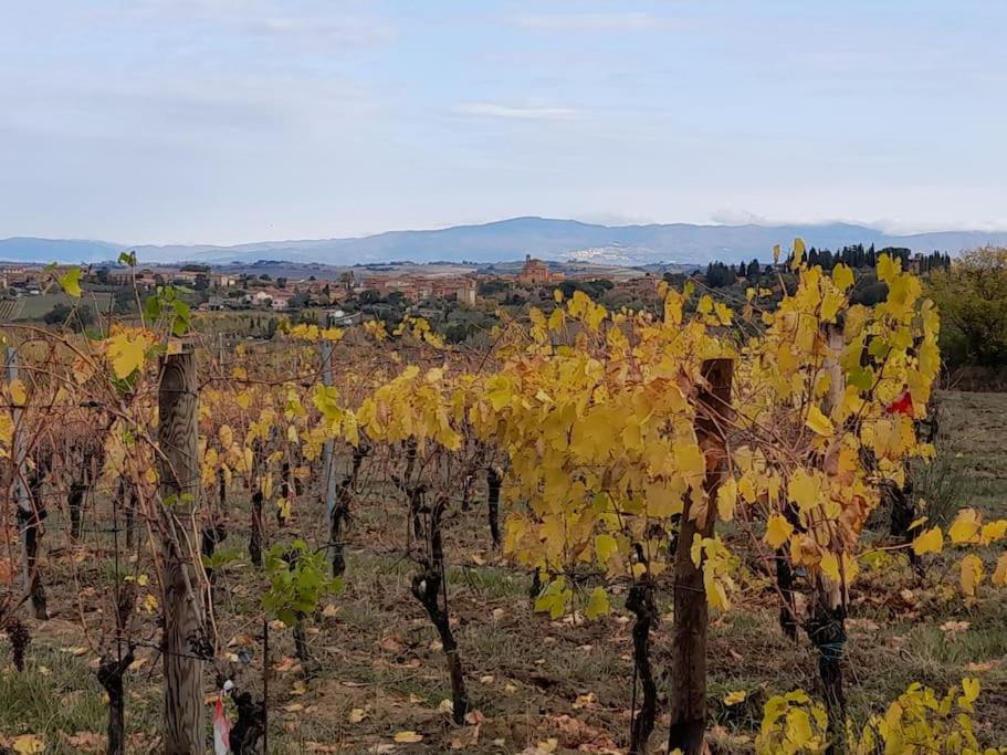 Montepulciano - La Casetta Del Pian Delle Noci Acquaviva Kültér fotó