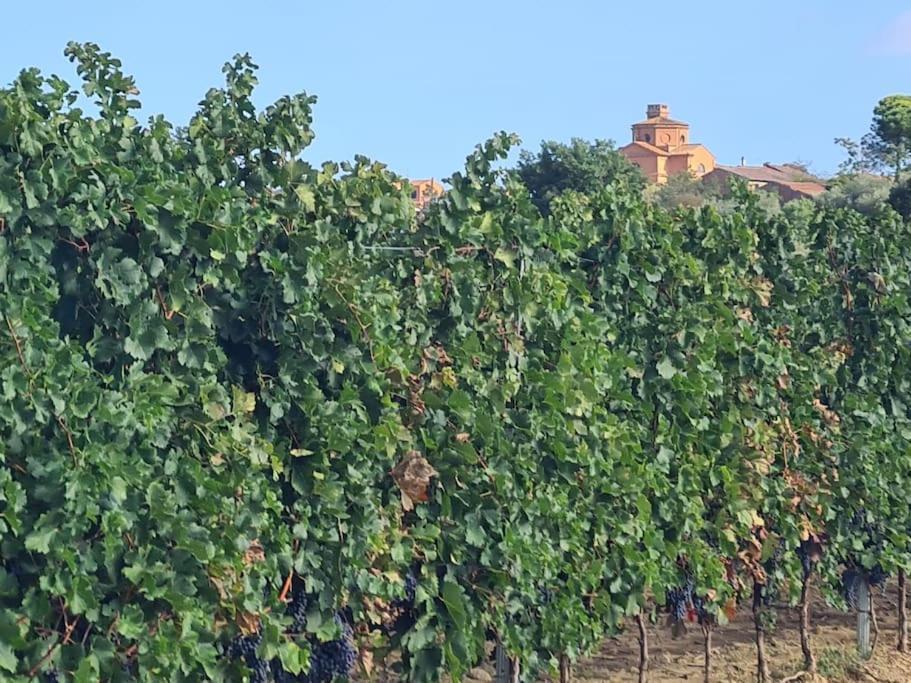 Montepulciano - La Casetta Del Pian Delle Noci Acquaviva Kültér fotó