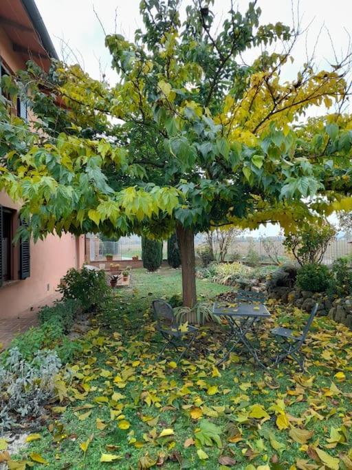 Montepulciano - La Casetta Del Pian Delle Noci Acquaviva Kültér fotó