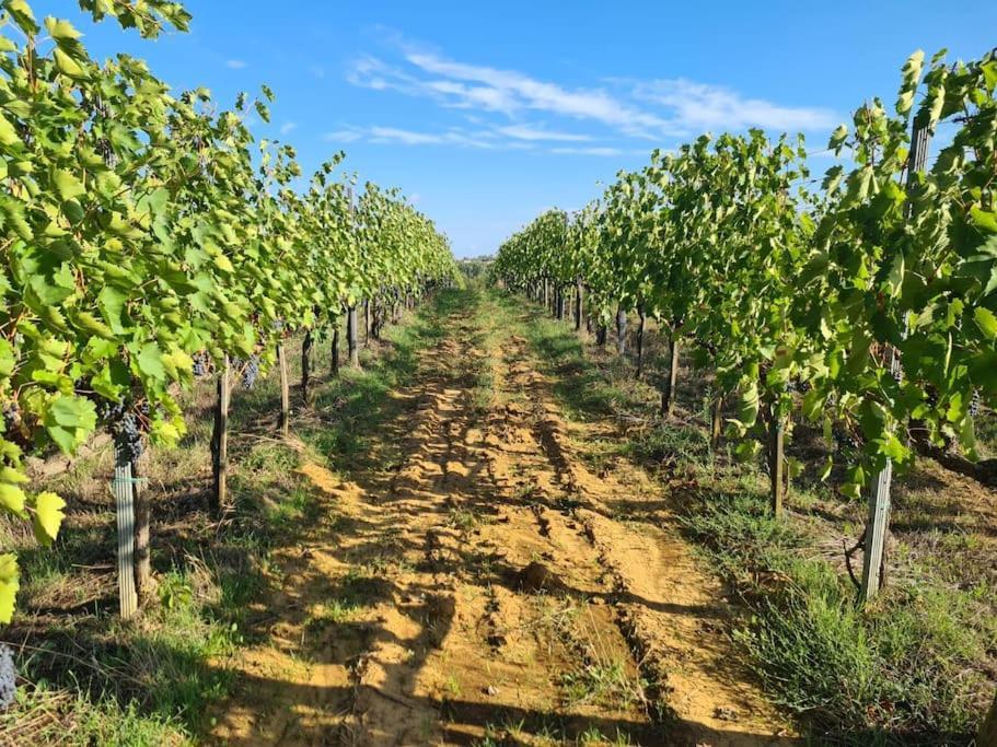 Montepulciano - La Casetta Del Pian Delle Noci Acquaviva Kültér fotó