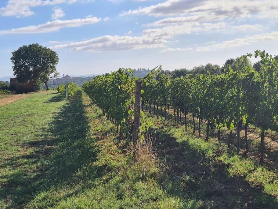 Montepulciano - La Casetta Del Pian Delle Noci Acquaviva Kültér fotó