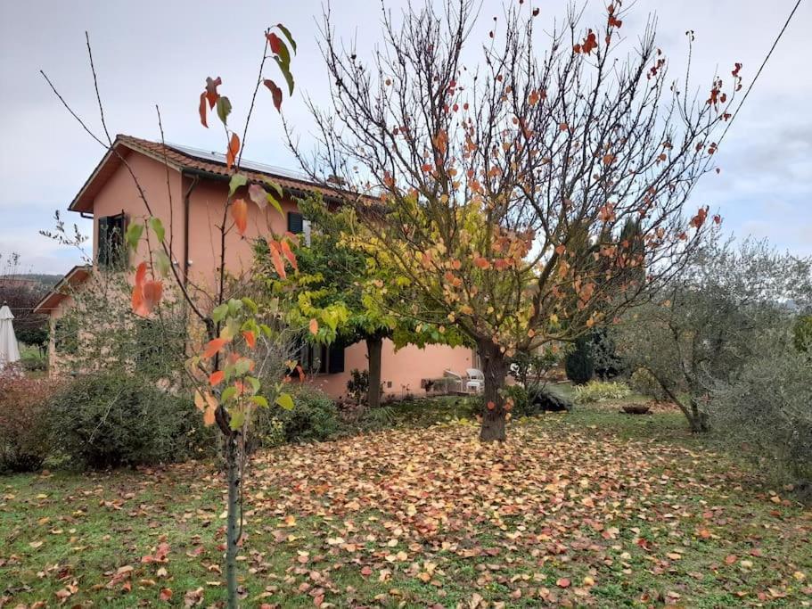 Montepulciano - La Casetta Del Pian Delle Noci Acquaviva Kültér fotó