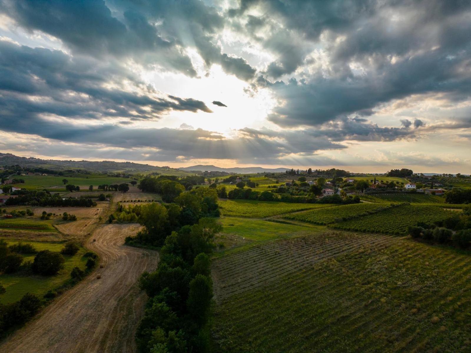 Montepulciano - La Casetta Del Pian Delle Noci Acquaviva Kültér fotó
