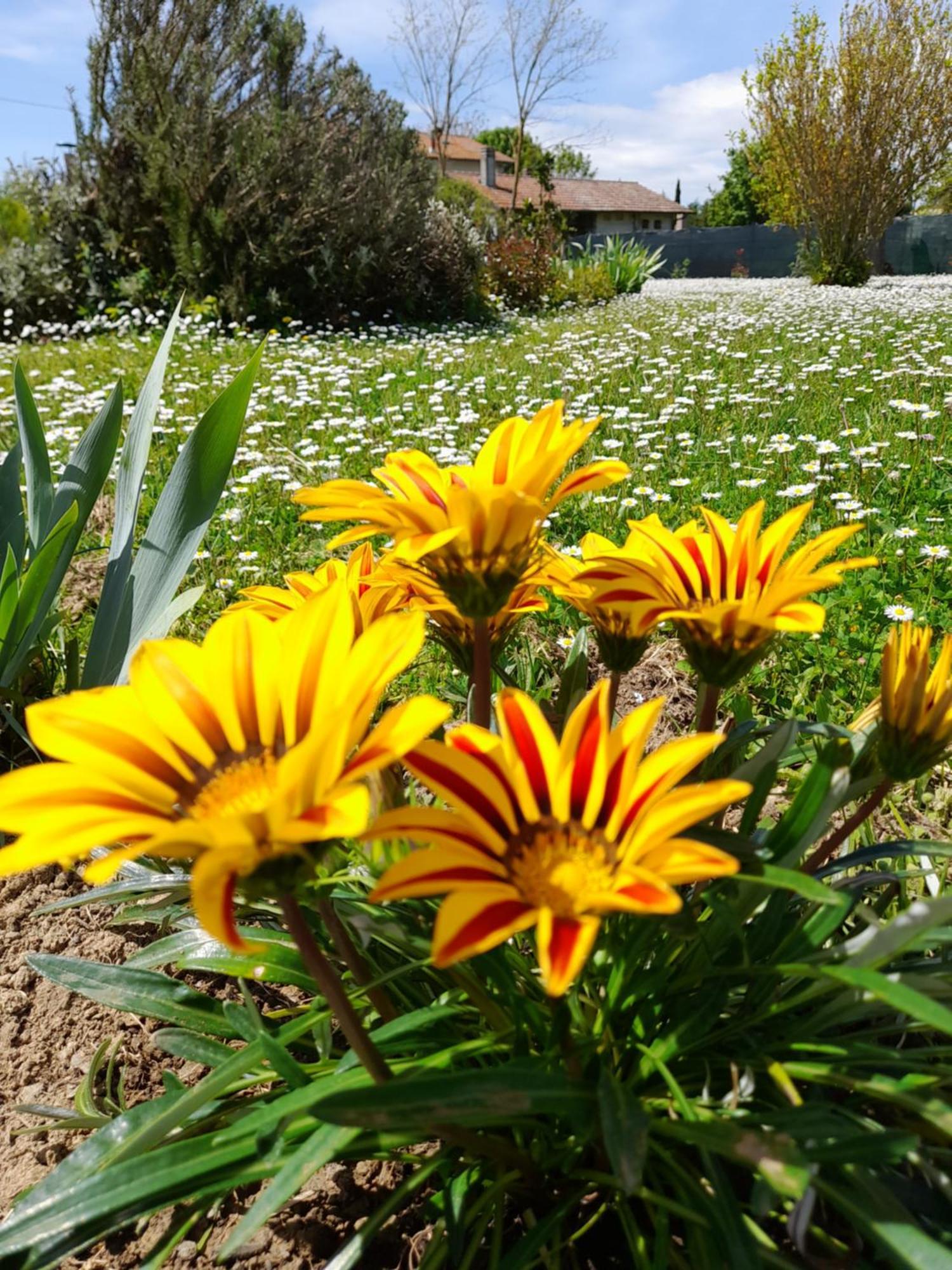Montepulciano - La Casetta Del Pian Delle Noci Acquaviva Kültér fotó