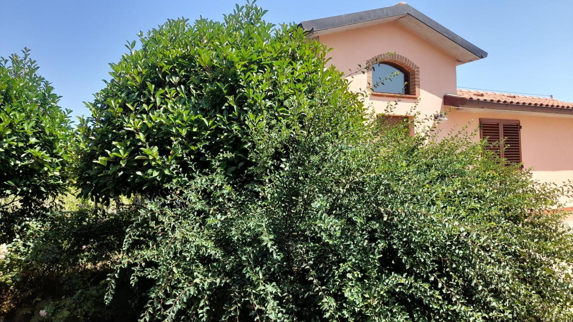 Montepulciano - La Casetta Del Pian Delle Noci Acquaviva Kültér fotó