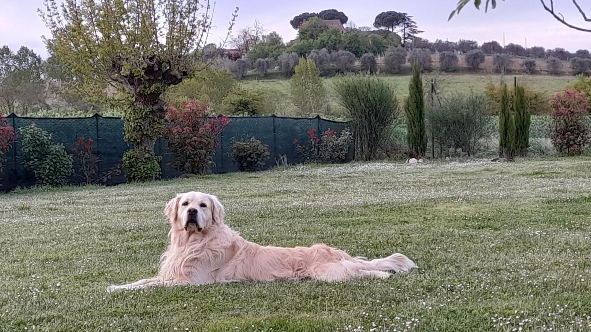 Montepulciano - La Casetta Del Pian Delle Noci Acquaviva Kültér fotó